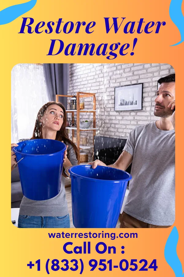 water restoration Vanguard Drying Professionals Ellisburg