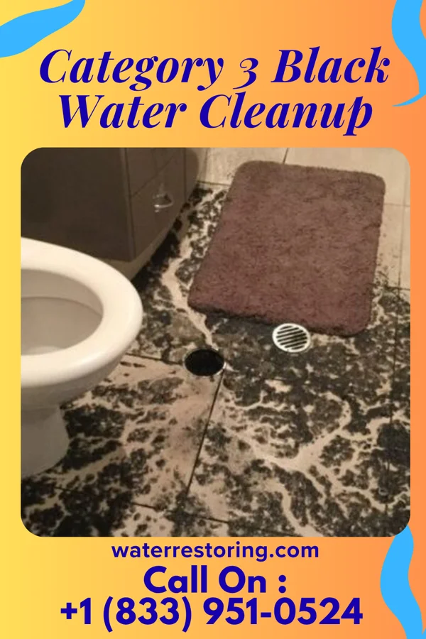 Category 3 Black Water Cleanup in Ellisburg, NJ