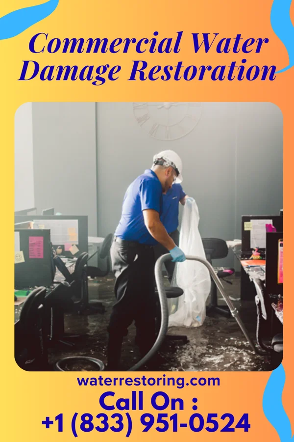 Commercial Water Damage Restoration in Ellisburg, NJ