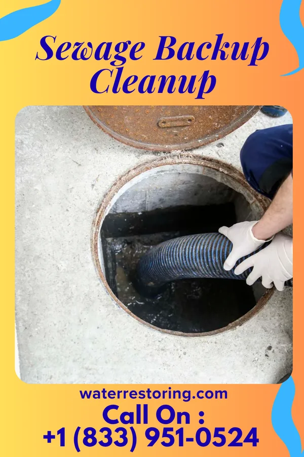 Sewage Backup Cleanup in Ellisburg, NJ