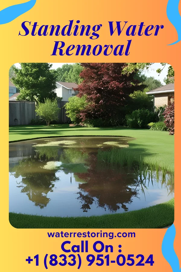 Standing Water Removal in Ellisburg, NJ